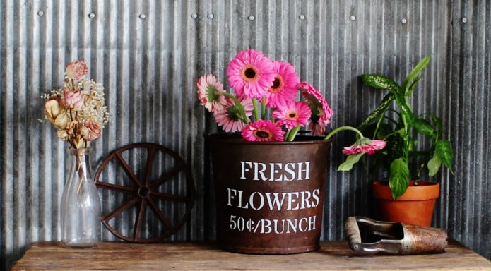 Spring Collection