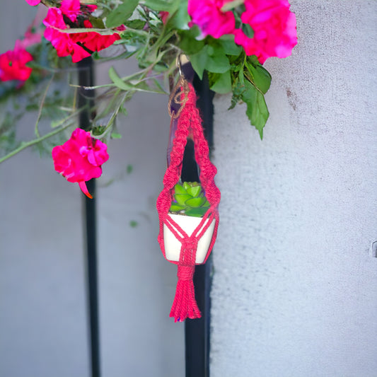 Mini faux succulent plant holder